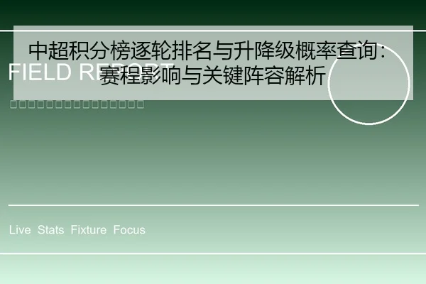 中超积分榜逐轮排名与升降级概率查询：赛程影响与关键阵容解析